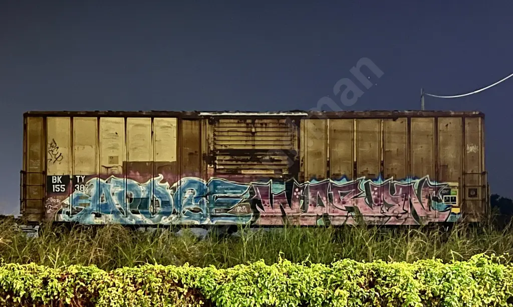 BKTY155387 - NORTH-AMERICA