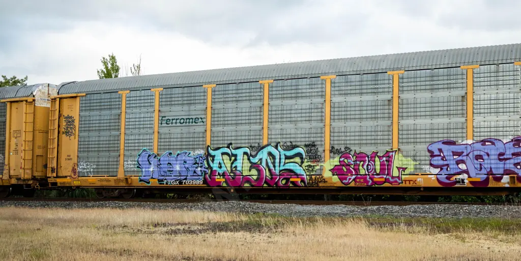 Train photo