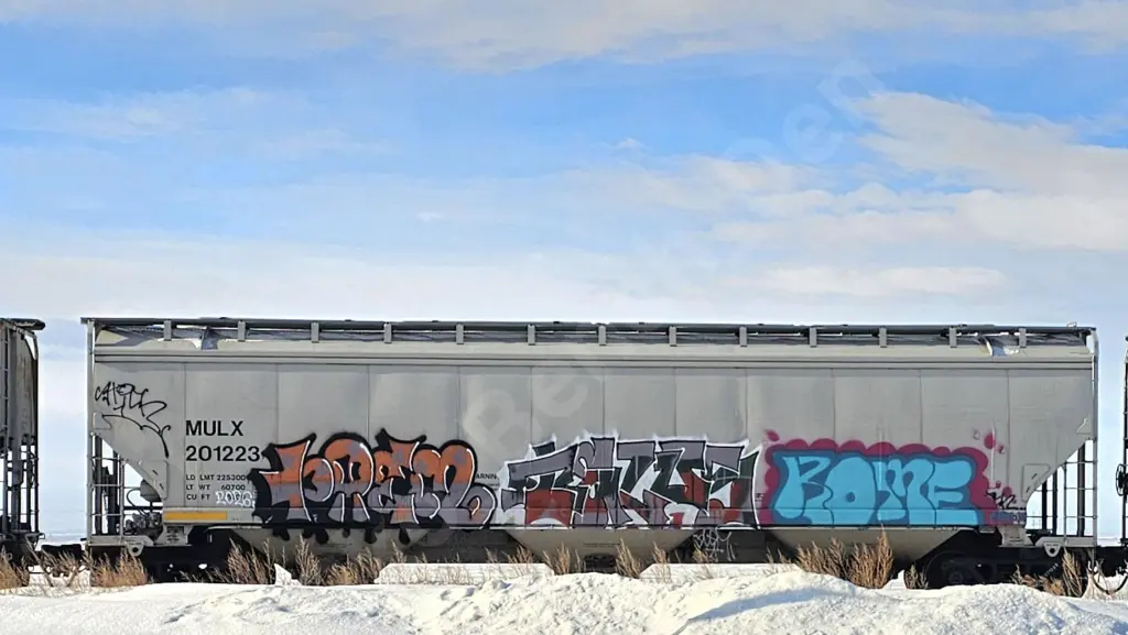 MULX201223 - NORTH-AMERICA