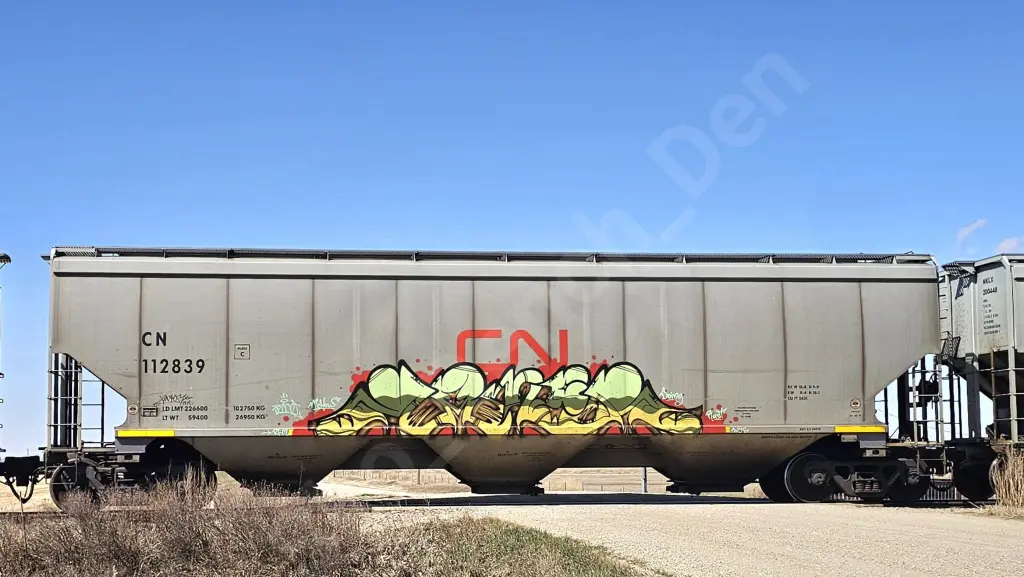 CN112839 - NORTH-AMERICA