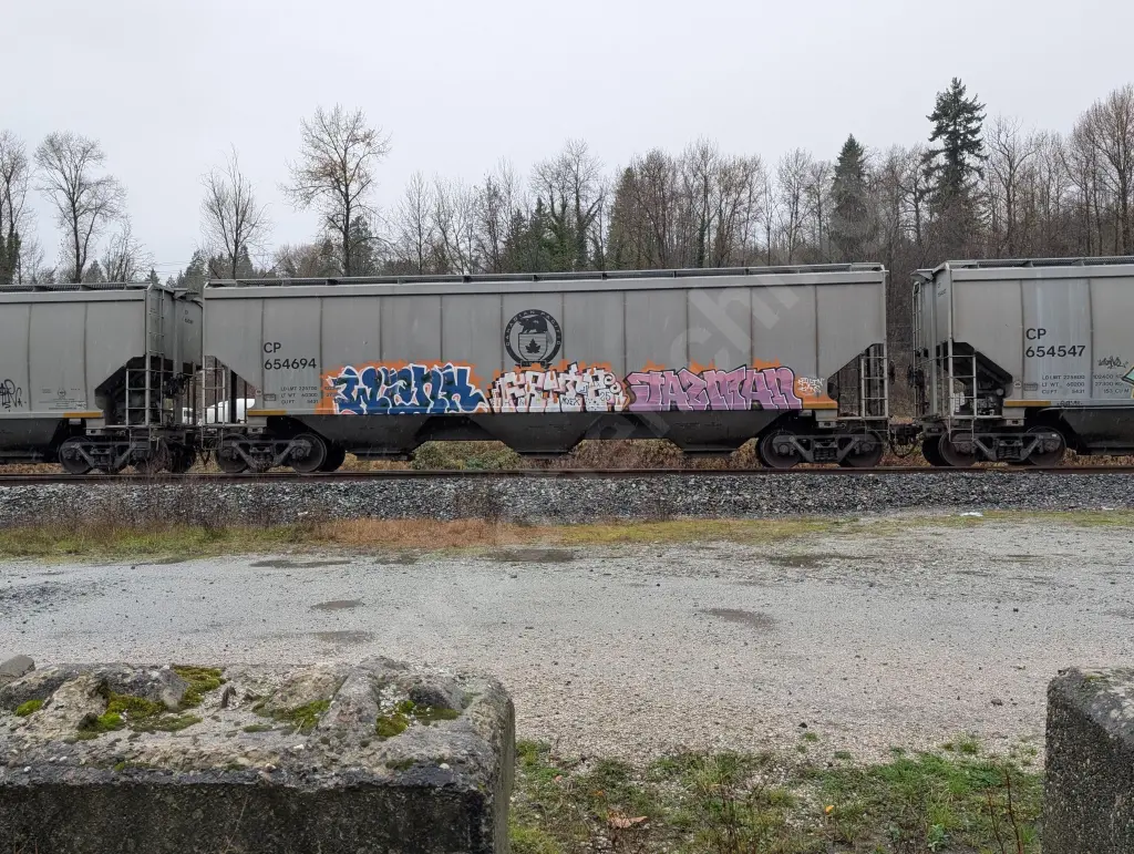 CP654694 - NORTH-AMERICA