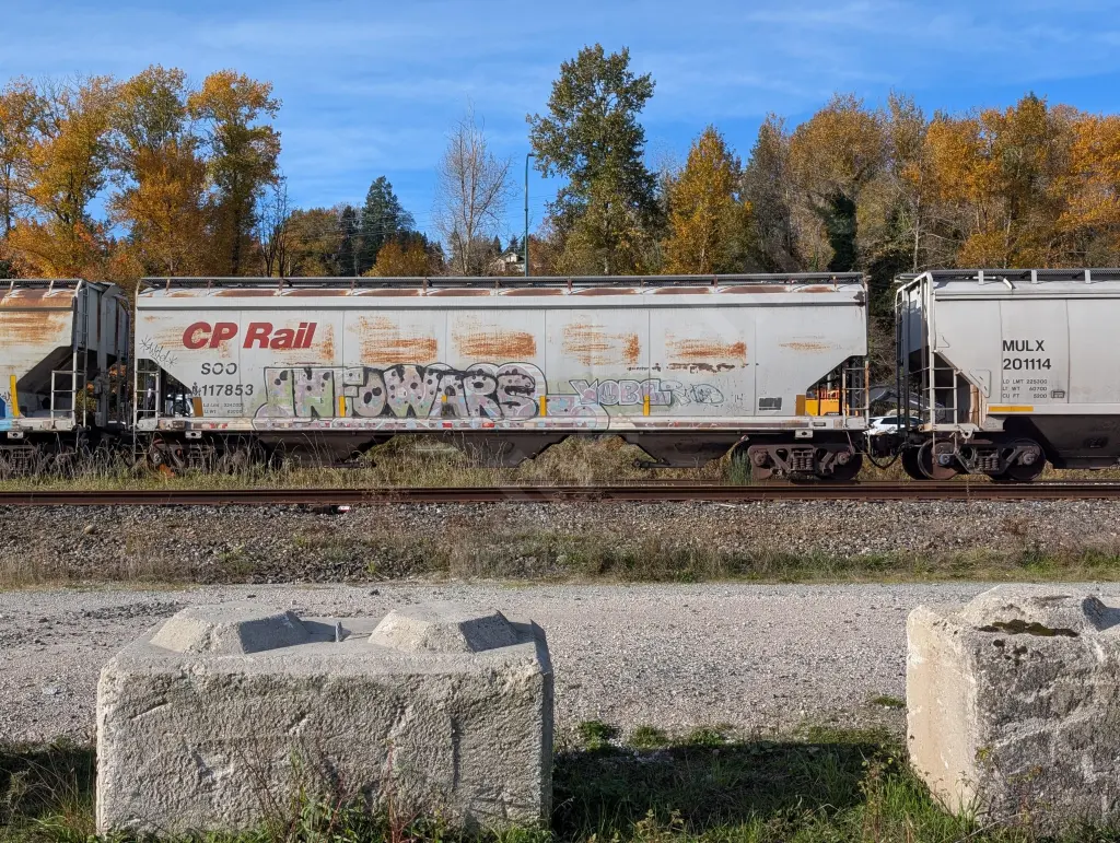 SOO117853 - NORTH-AMERICA
