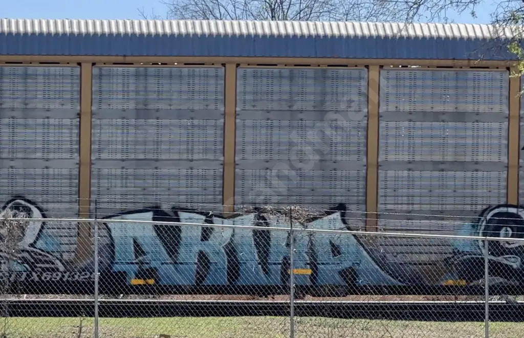 CTTX691329 - NORTH-AMERICA