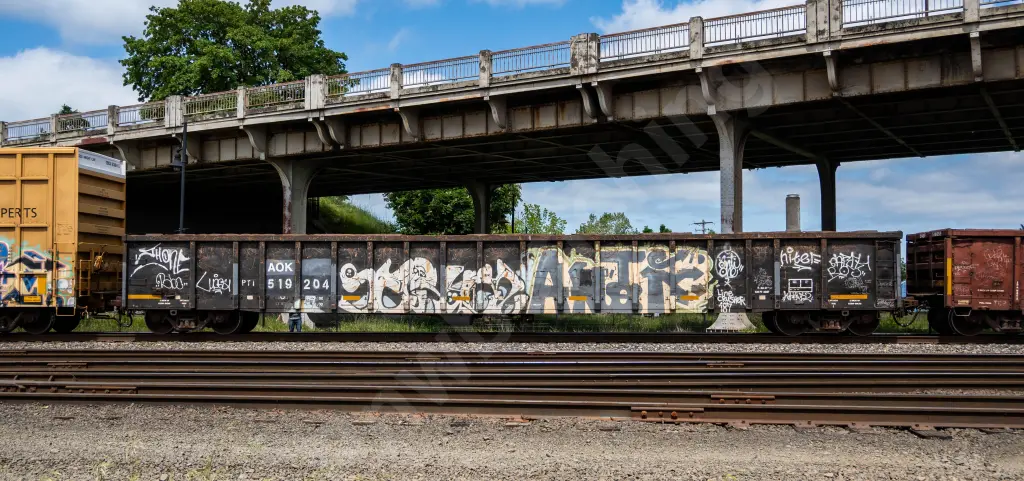 AOK519204 - NORTH-AMERICA