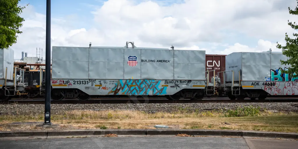 UP213131 - NORTH-AMERICA