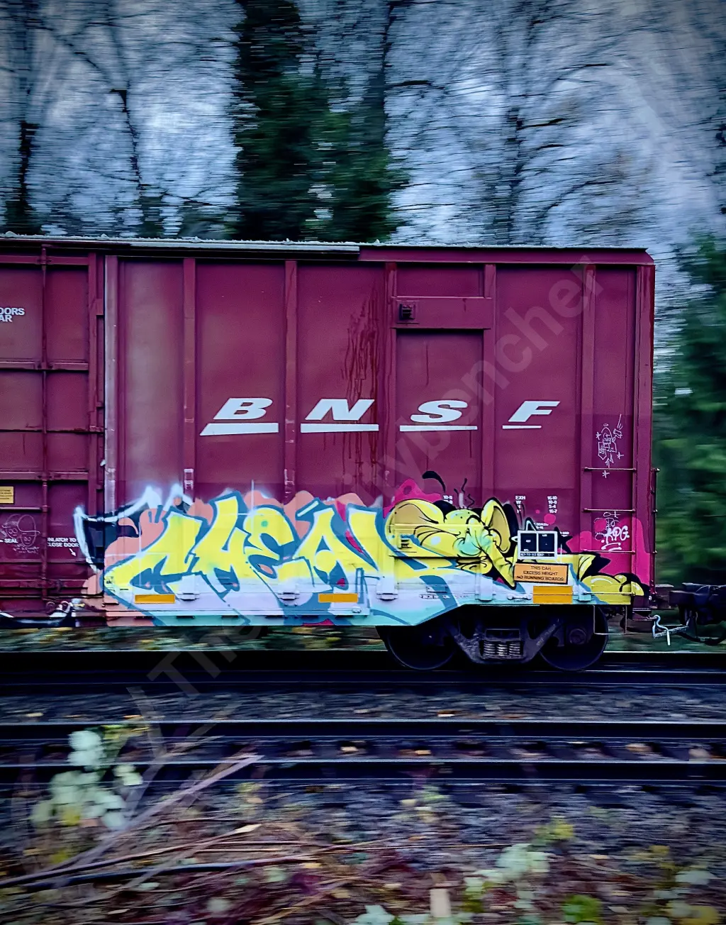 #57011 - NORTH-AMERICA