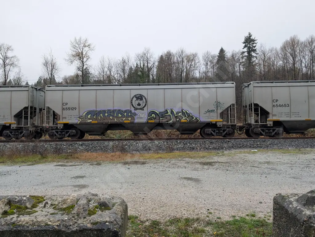 CP655129 - NORTH-AMERICA