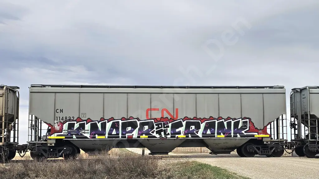 CN114822 - NORTH-AMERICA