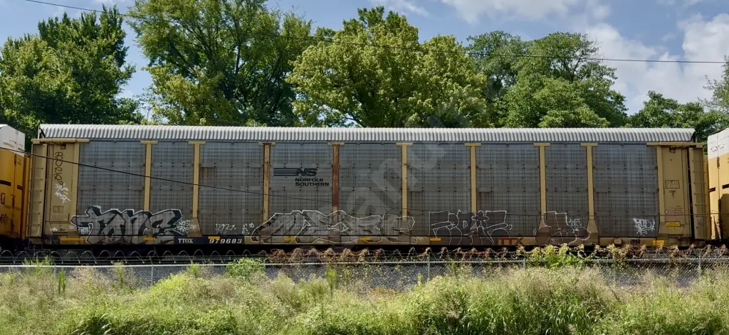 TTGX979683 - NORTH-AMERICA