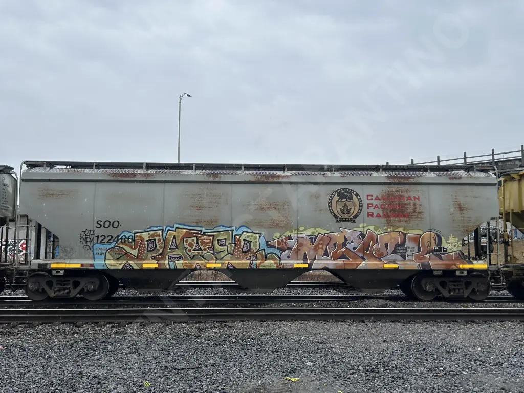 SOO122480 - NORTH-AMERICA