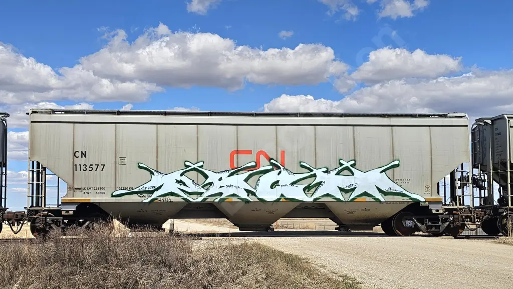 CN113577 - NORTH-AMERICA