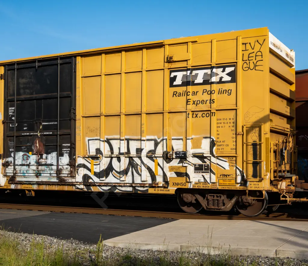 FBOX502305 - NORTH-AMERICA