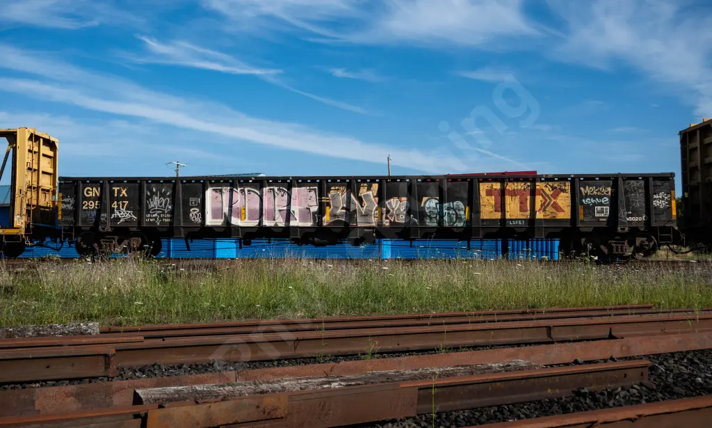 GNTX295417 - NORTH-AMERICA