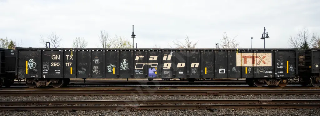 GNTX290117 - NORTH-AMERICA