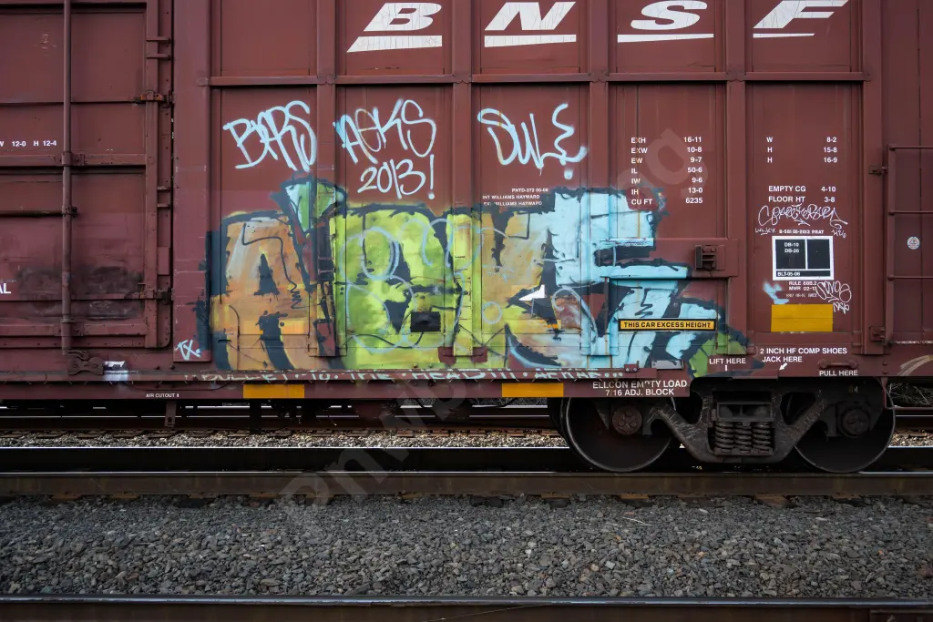 BNSF729035 - NORTH-AMERICA