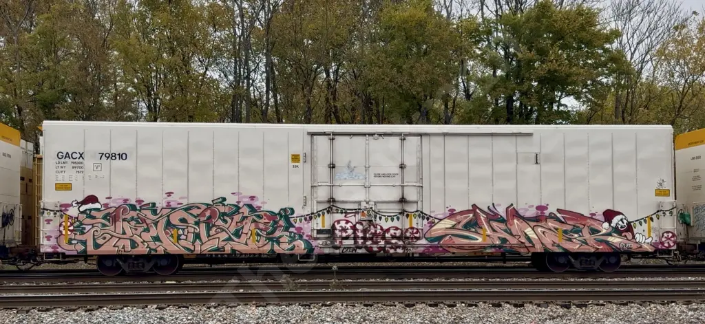 GACX79810 - NORTH-AMERICA