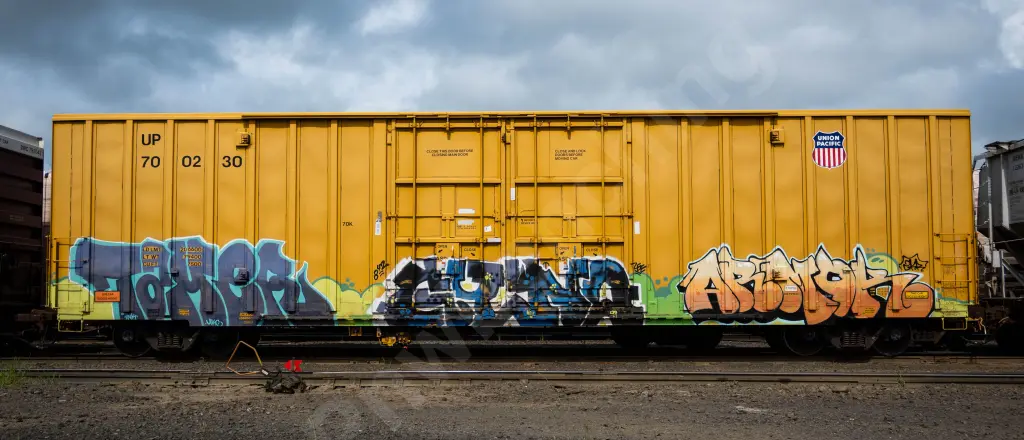 UP700230 - NORTH-AMERICA