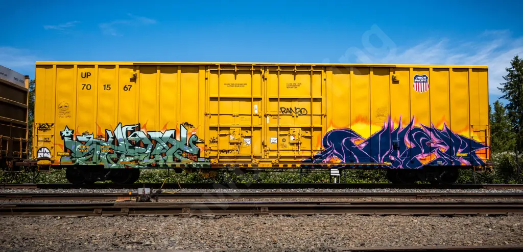UP701567 - NORTH-AMERICA