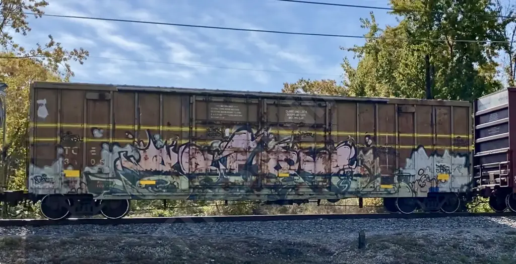 TOE3106 - NORTH-AMERICA