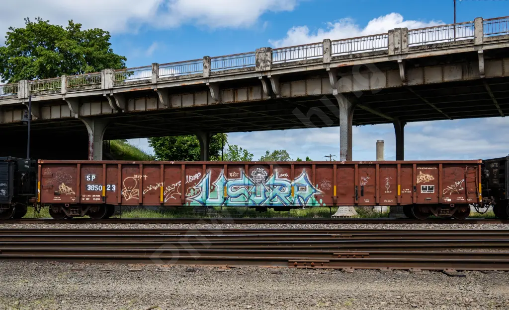 SP365023 - NORTH-AMERICA