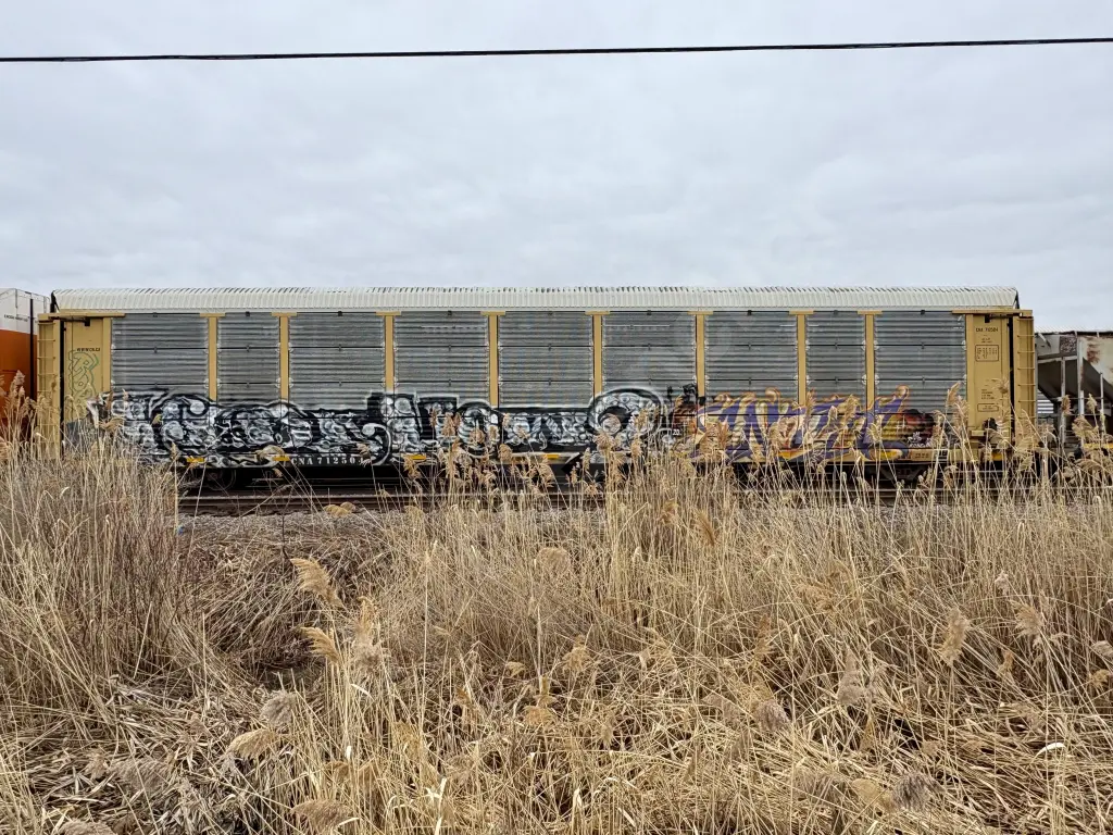 CNA712504 - NORTH-AMERICA