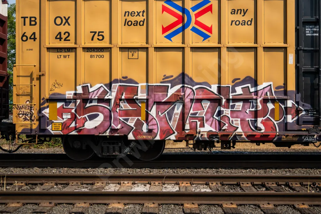 TBOX644275 - NORTH-AMERICA
