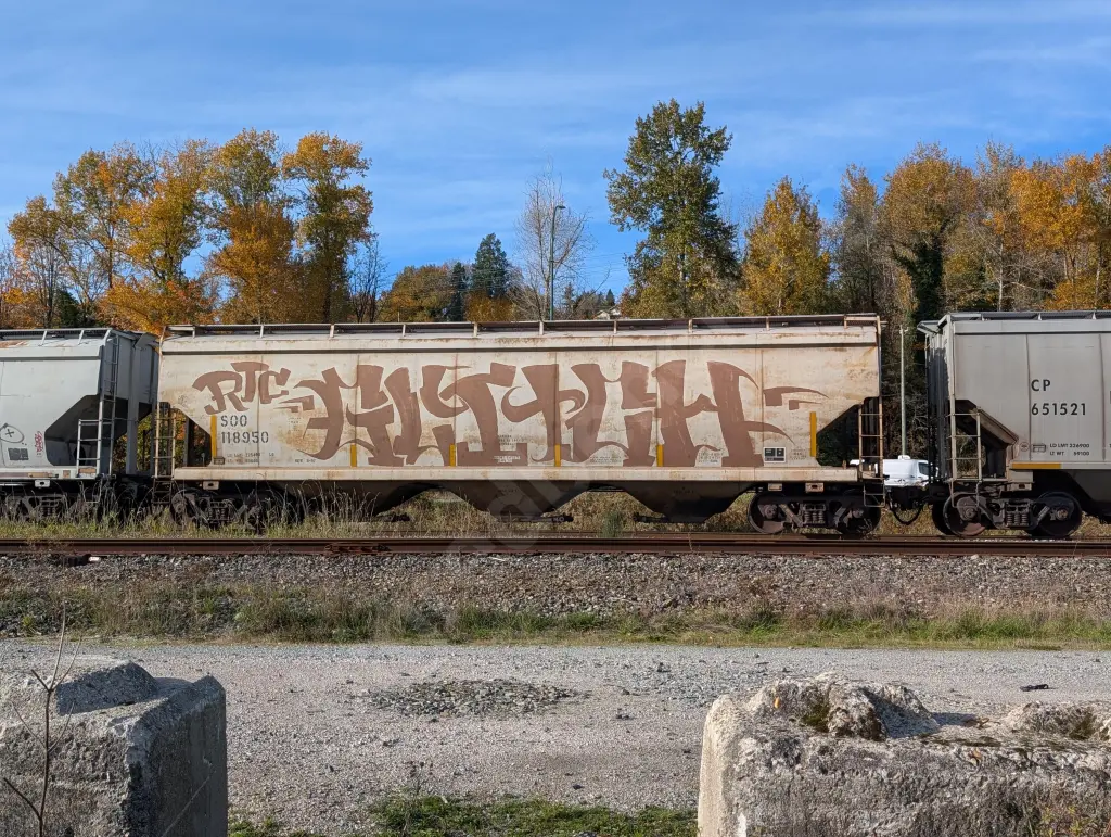 SOO118950 - NORTH-AMERICA