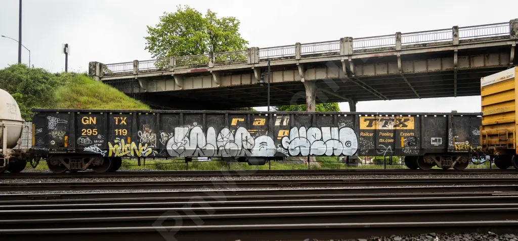 GNTX295119 - NORTH-AMERICA