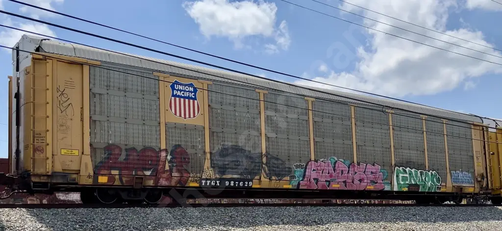 TTGX987629 - NORTH-AMERICA