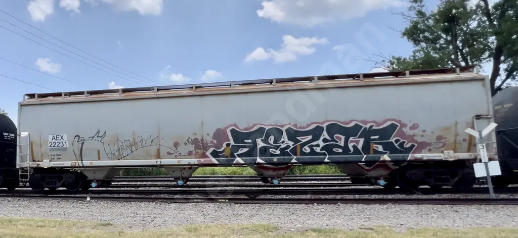 AEX22231 - NORTH-AMERICA