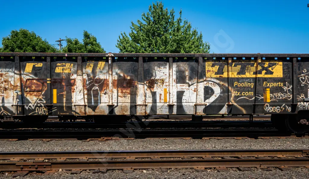 GNTX295033 - NORTH-AMERICA