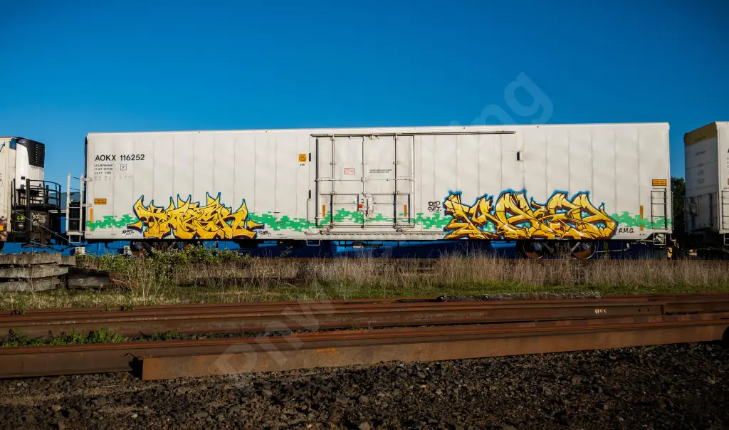 AOKX116252 - NORTH-AMERICA