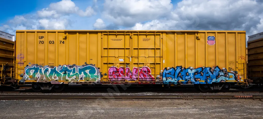 UP700374 - NORTH-AMERICA
