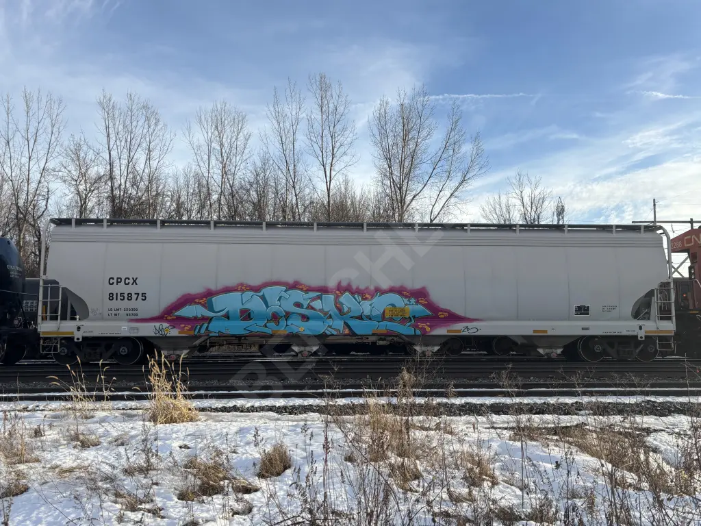 CPCX815875 - NORTH-AMERICA