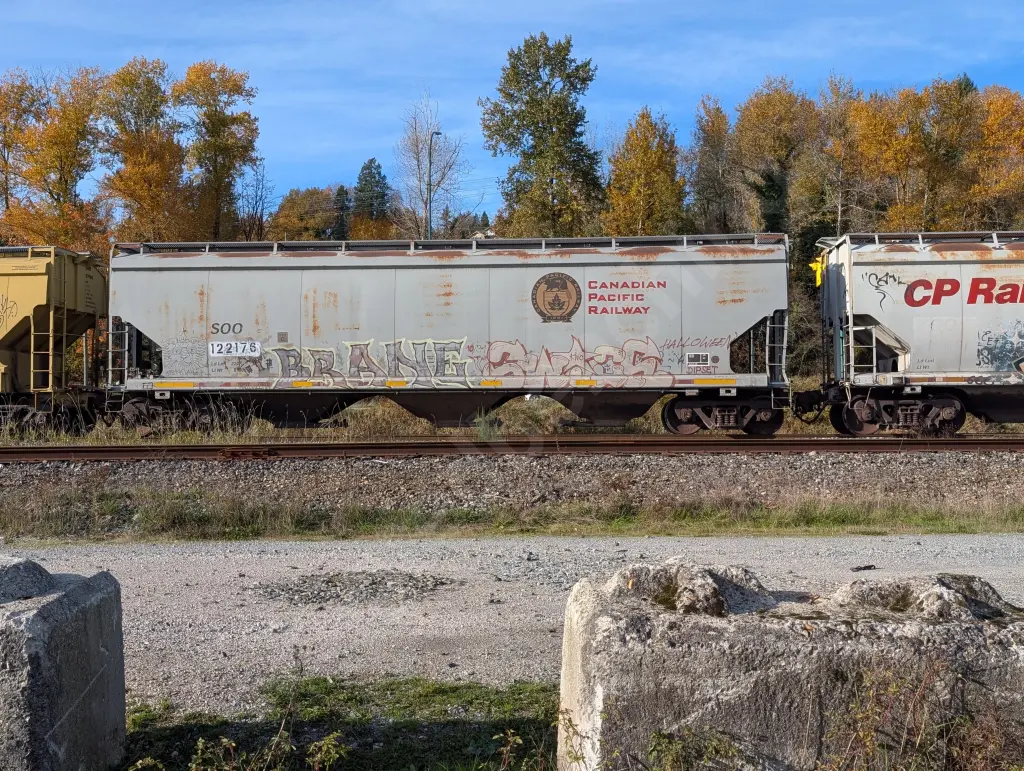 SOO122178 - NORTH-AMERICA
