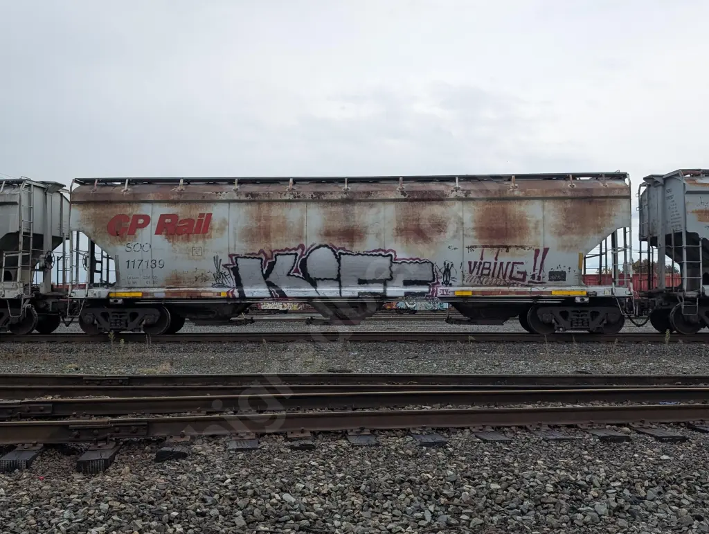 SOO117139 - NORTH-AMERICA