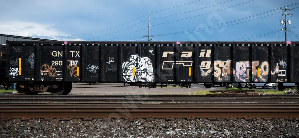 GNTX290117 - NORTH-AMERICA