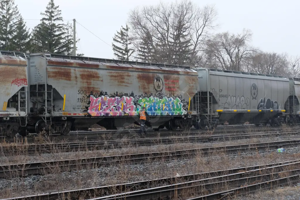 SOO119133 - NORTH-AMERICA