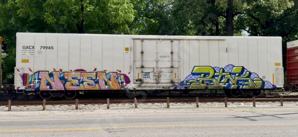 GACX79945 - NORTH-AMERICA