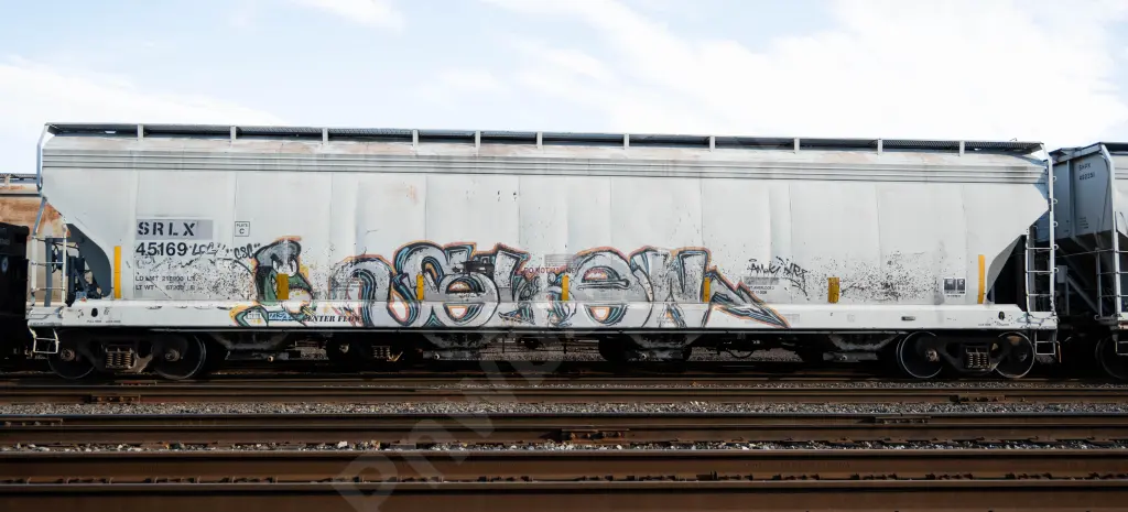 SRLX45169 - NORTH-AMERICA