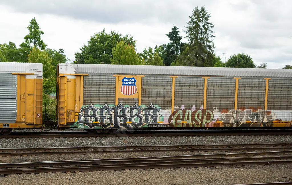 TTGX988316 - NORTH-AMERICA