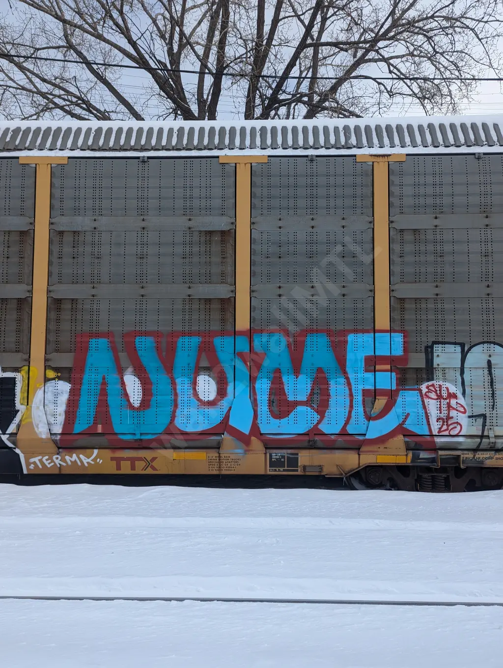 #18619 - NORTH-AMERICA