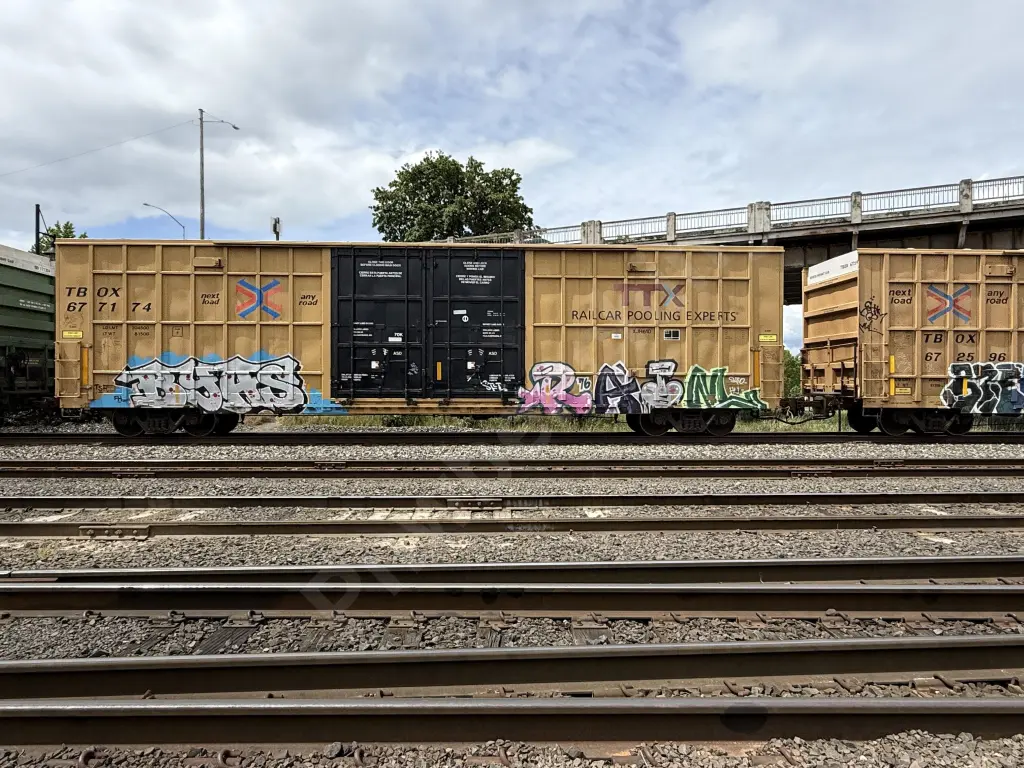 TBOX677174 - NORTH-AMERICA