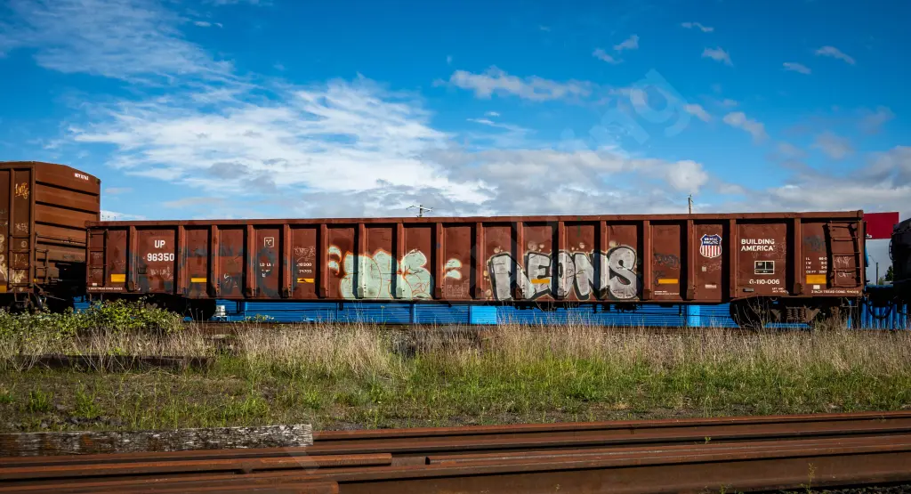 UP96350 - NORTH-AMERICA