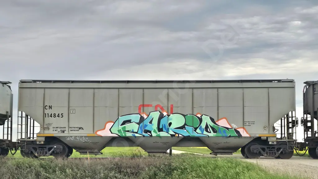 CN114845 - NORTH-AMERICA