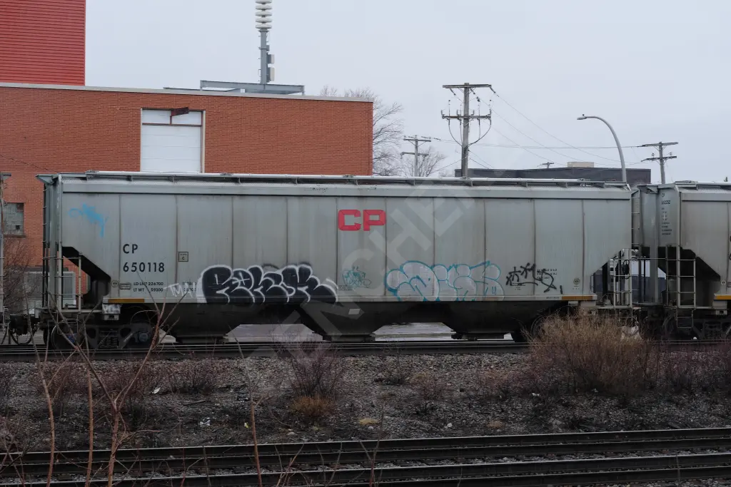 CP650118 - NORTH-AMERICA
