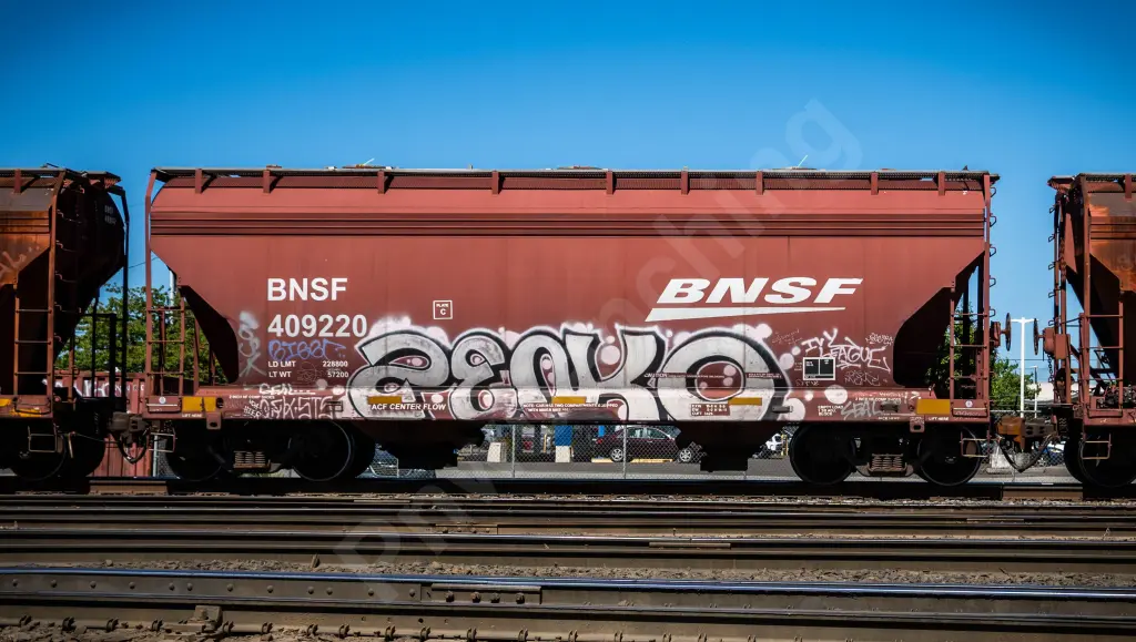 BNSF409220 - NORTH-AMERICA