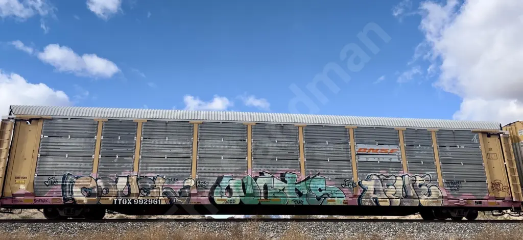 TTGX992961 - NORTH-AMERICA