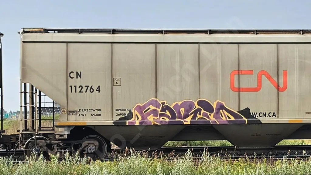 CN112764 - NORTH-AMERICA