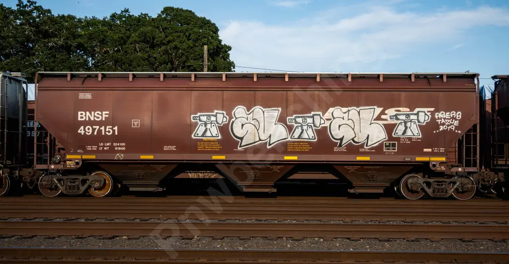 BNSF497151 - NORTH-AMERICA